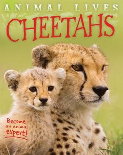 Cheetahs - Morgan, Sally