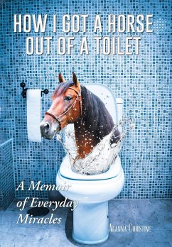 How I Got a Horse Out of a Toilet