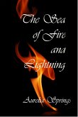 Sea of Fire and Lightning (The Shadow Captain, #1) (eBook, ePUB) Sea of Fire and Lightning (The Shadow Captain, #1) (eBook, ePUB)