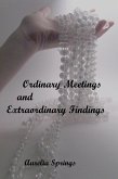 Ordinary Meetings and Extraordinary Findings (The Filmmaker Series, #1) (eBook, ePUB)