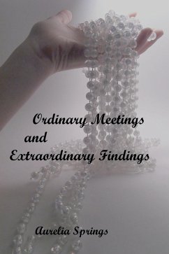 Cover Ordinary Meetings and Extraordinary Findings (The Filmmaker Series, #1) (eBook, ePUB)