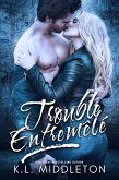 Trouble entremêlé (eBook, ePUB)