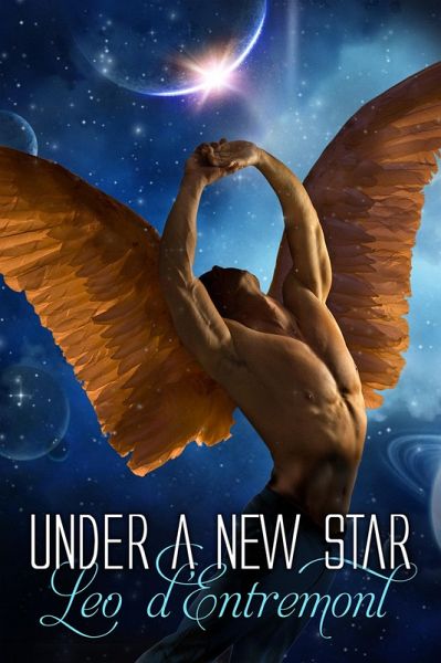 Under a New Star (eBook, ePUB)