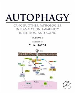 Cover Autophagy: Cancer, Other Pathologies, Inflammation, Immunity, Infection, and Aging (eBook, ePUB)