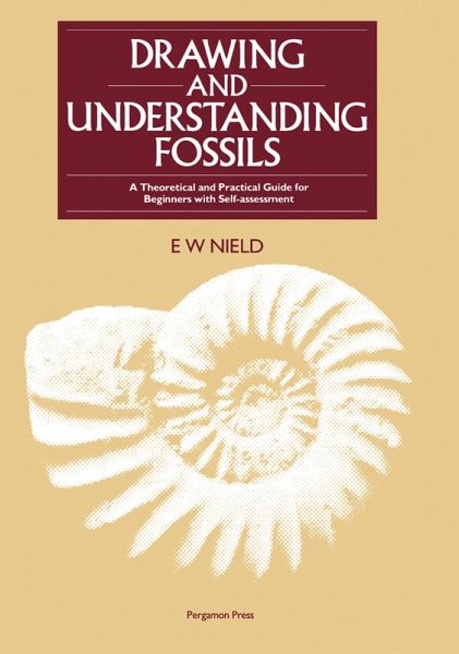 Drawing & Understanding Fossils (eBook, PDF)