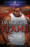Immortal Flame (eBook, ePUB)