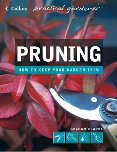 Cover Pruning (eBook, ePUB)