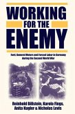 Working for the Enemy (eBook, PDF)