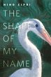 The Shape of My Name (eBook, ePUB) - Bild 1