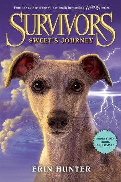 Survivors: Sweet's Journey (eBook, ePUB) - Hunter, Erin
