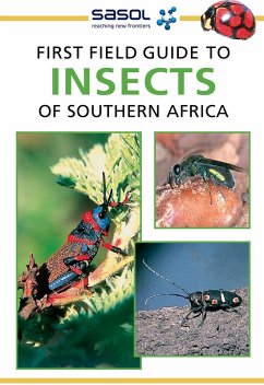 Cover Sasol First Field Guide to Insects of Southern Africa (eBook, ePUB)