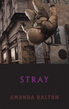 Cover Stray (eBook, ePUB)