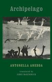 Archipelago (eBook, ePUB)