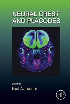 Neural Crest and Placodes (eBook, ePUB)