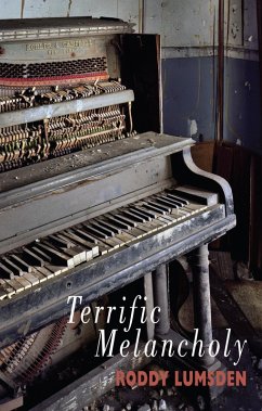 Cover Terrific Melancholy (eBook, ePUB)