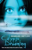 Calypso Dreaming (eBook, ePUB)