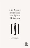 The Space Between the Space Between (eBook, ePUB)