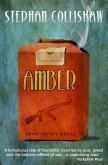 Amber (eBook, ePUB)