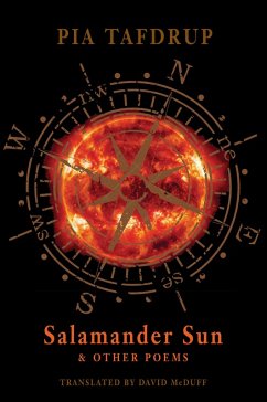 Cover Salamander Sun and other poems (eBook, ePUB)