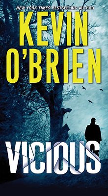 Cover Vicious (eBook, ePUB)