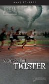 Boy Called Twister (eBook, ePUB)