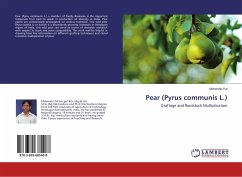 Pear (Pyrus communis L.)