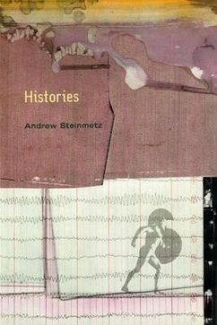 HISTORIES NEW/E - Steinmetz, Andrew