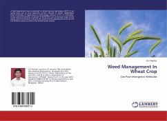 Weed Management In Wheat Crop