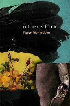 A Tinker's Picnic - Richardson, Peter