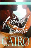 Between the Sheets (eBook, ePUB)