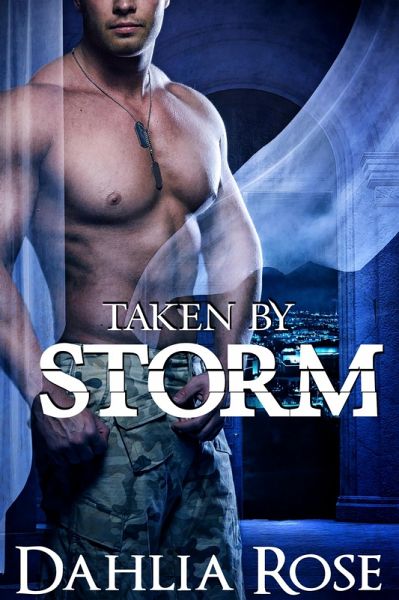 Taken By Storm (eBook, ePUB)