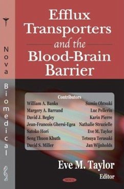 Efflux in the Blood Brain Barrier