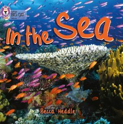 In the Sea - Heddle, Becca
