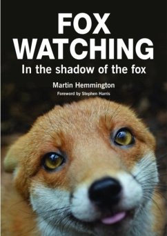 Fox Watching - Hemmington, Martin