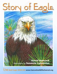 Story of Eagle Activity & Coloring Book - Hancock, David; Lansonius, Susanne