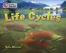 Life Cycles - Bild 1