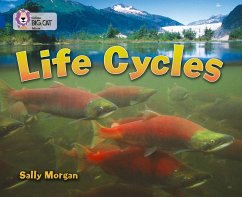 Life Cycles - Morgan, Sally