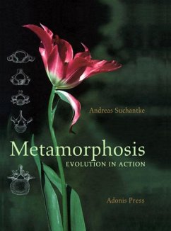 Metamorphosis - Suchantke, Andreas