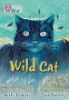 Wild Cat - Bild 1