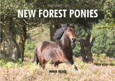 The Spirit of New Forest Ponies The Spirit of New Forest Ponies
