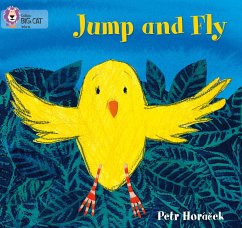 Jump and Fly - Horacek, Petr