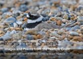 Rings in the Shingle Rings in the Shingle