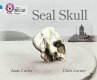 Seal Skull - Bild 1
