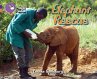 Elephant Rescue - Bild 1