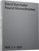 David Batchelor: Found Monochromes