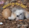 What's in the Egg? - Bild 1