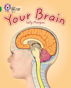 Cover Your Brain