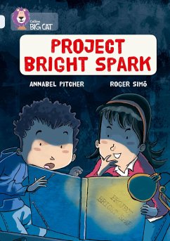 Project Bright Spark - Pitcher, Annabel
