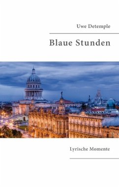 Blaue Stunden (eBook, ePUB)