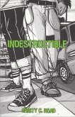 Indestructible (eBook, ePUB)